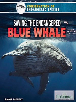 cover image of Saving the Endangered Blue Whale